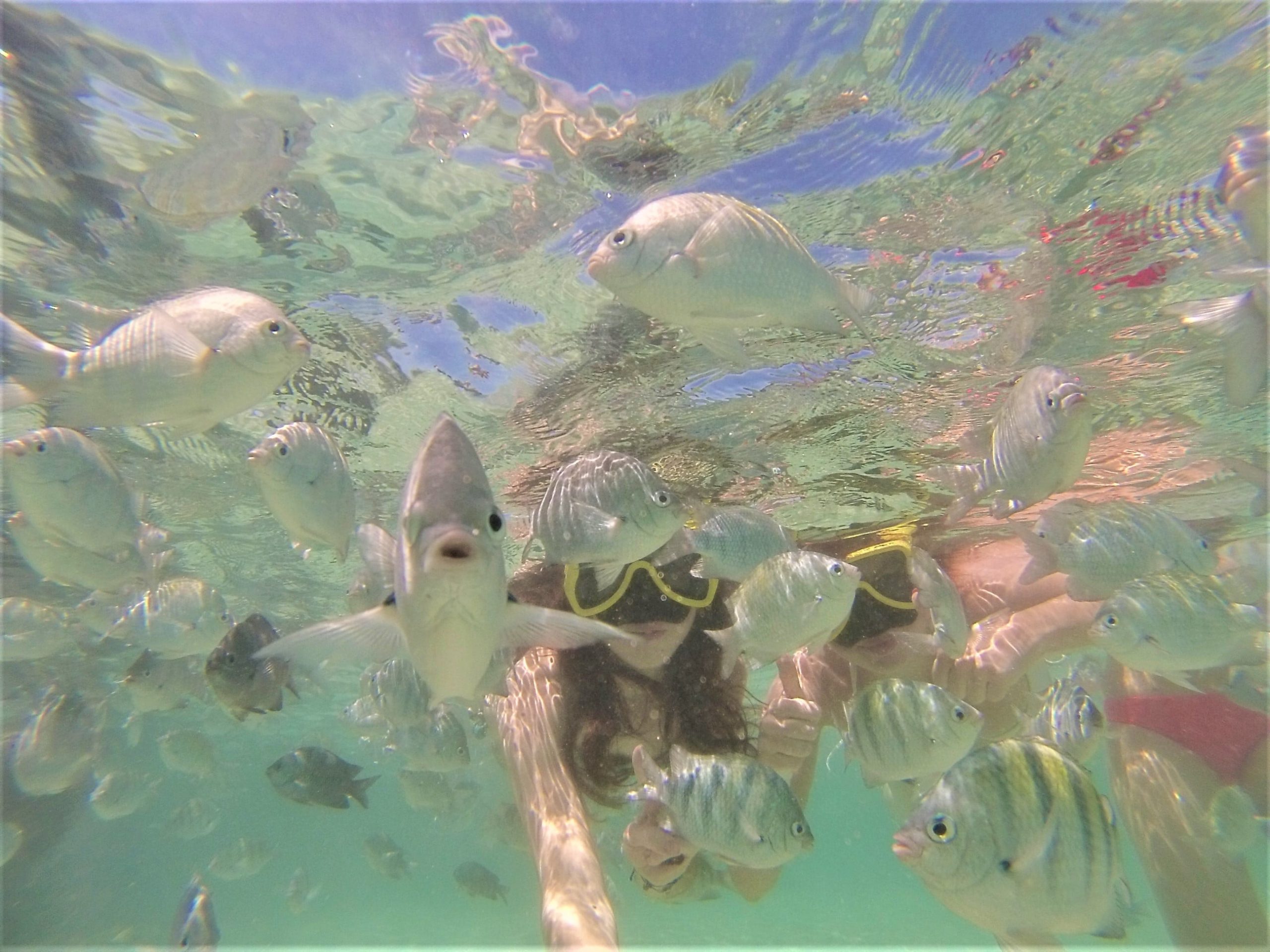 Selfie avec les poissons blog kikimagtravel