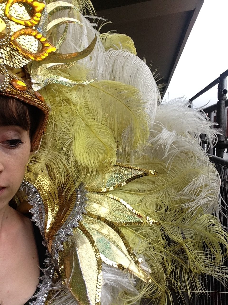 costume typique du carnaval de rio